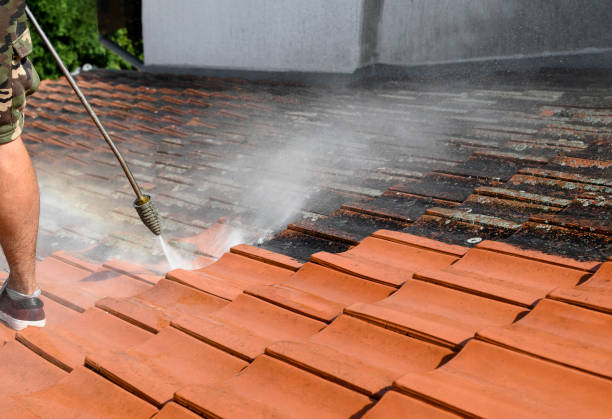 Deck Cleaning Services in Lighthouse Point, FL