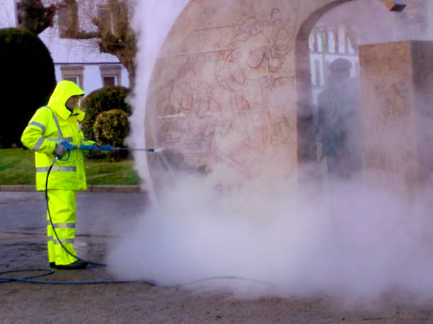 Best Roof Pressure Washing  in Lighthouse Point, FL