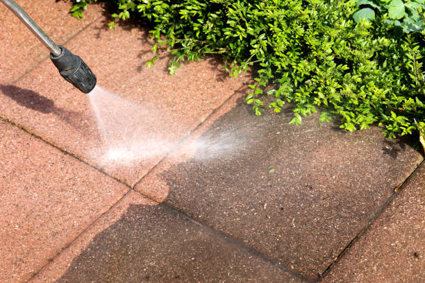 Best Residential Pressure Washing Services  in Lighthouse Point, FL